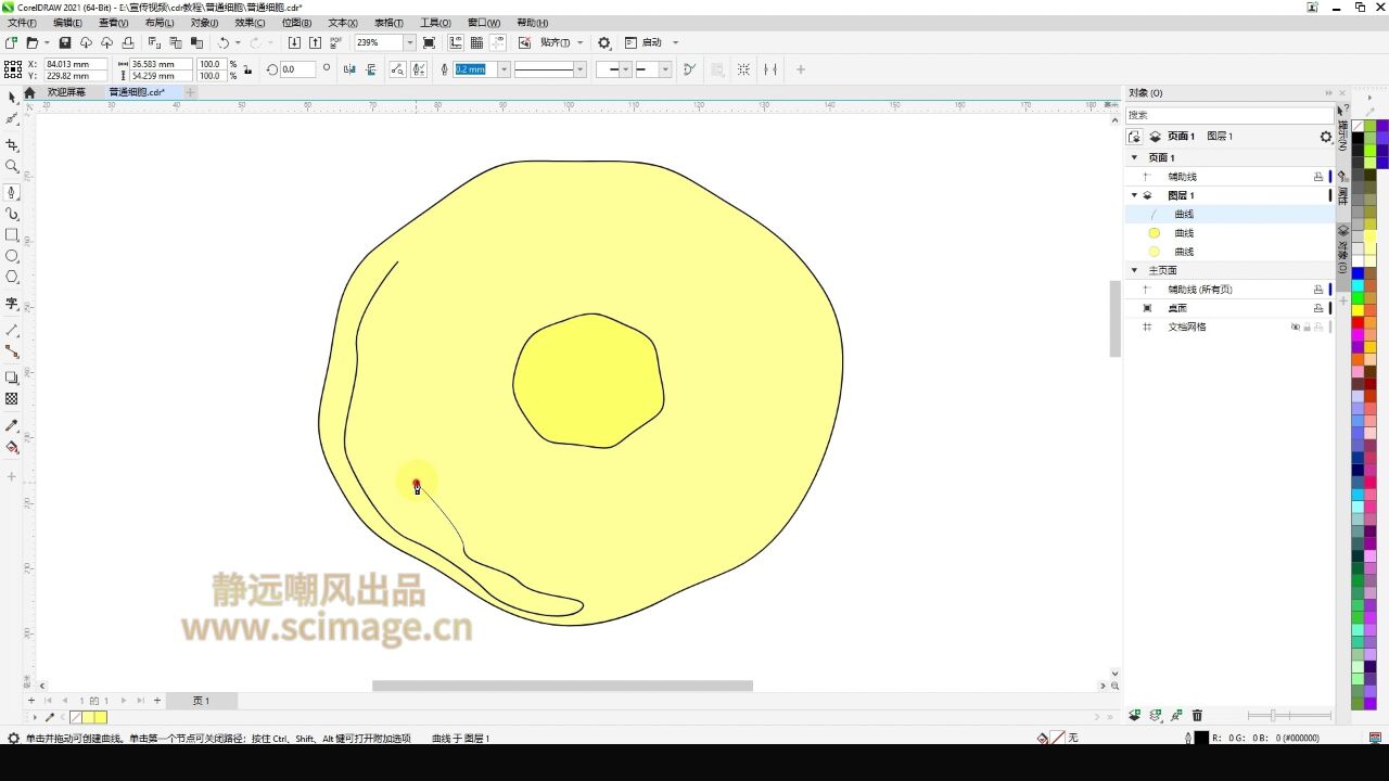 【SCI科研制图教程】如何做绘制普通细胞(CorelDRAW软件CDR软件)【宋元元博主】