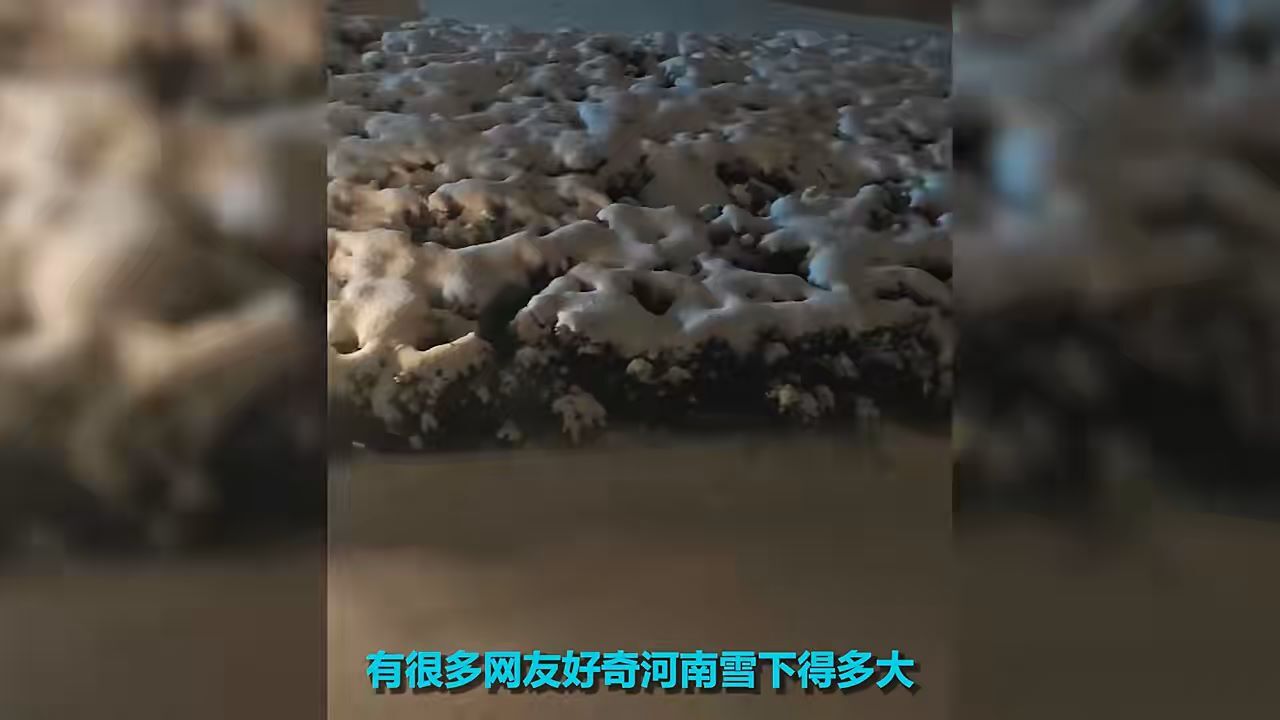 河南鹅毛大雪满天飞 积雪脚脖子深