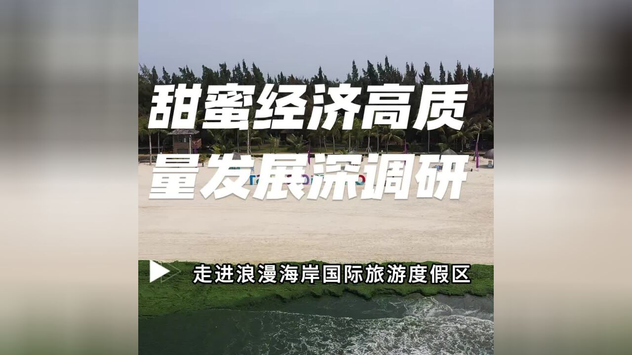 广东甜蜜经济高质量发展深调研走进浪漫海岸