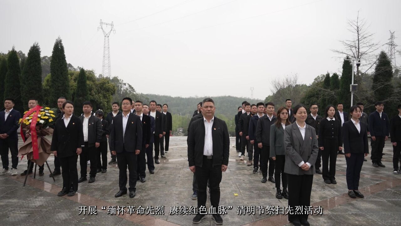 视频|岳阳楼区:清明祭英烈 丰碑励前行