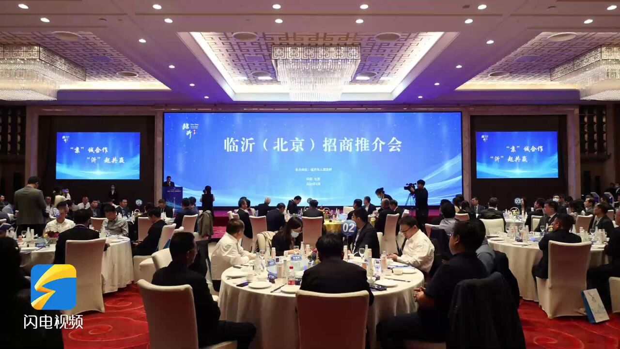 中国交通运输协会物流投融资分会执行副会长柴岚译:利用产业资源和专业优势 助力临沂打造千亿级产业