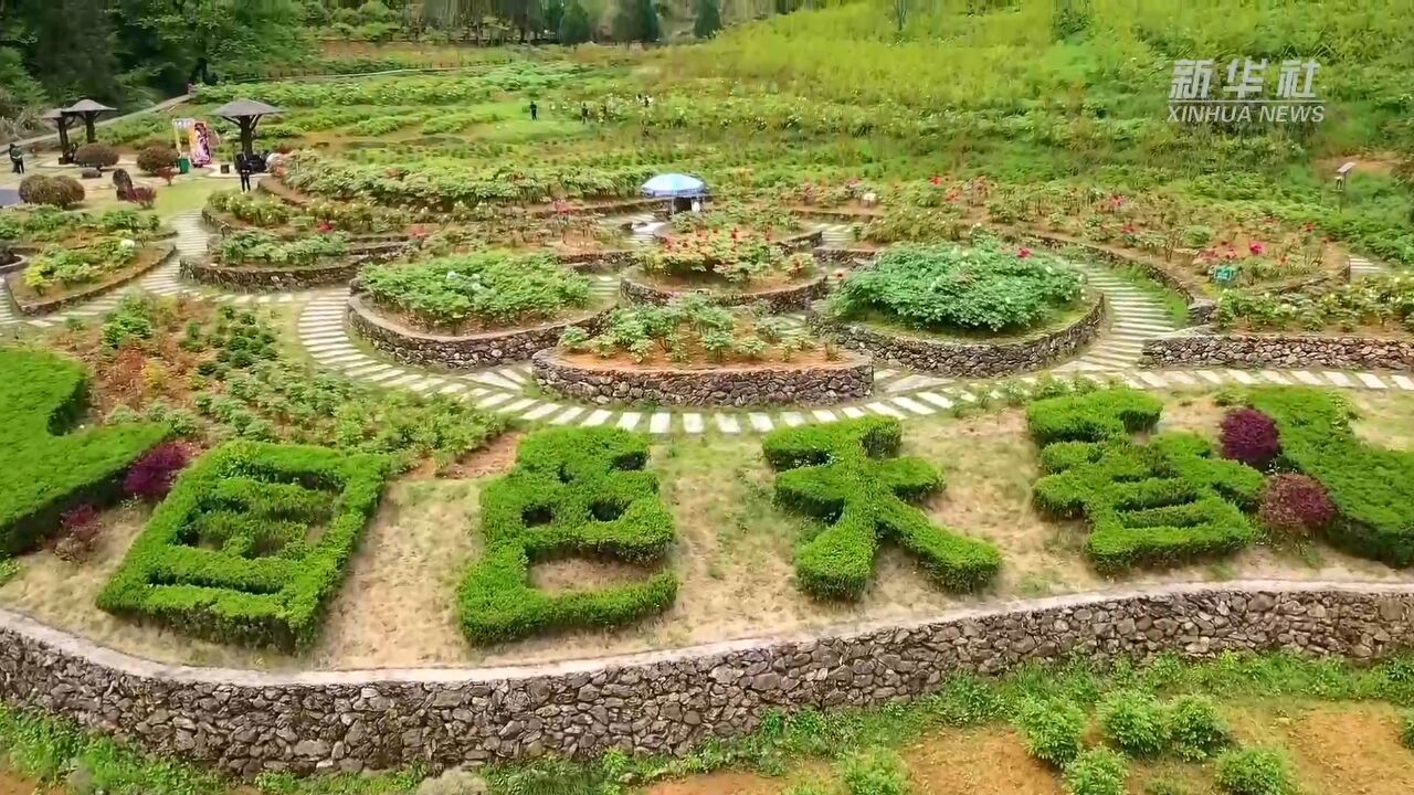 以花为媒 农文旅融合助力乡村振兴