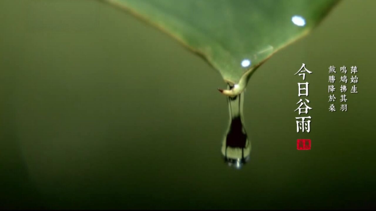 谷雨宜品茶