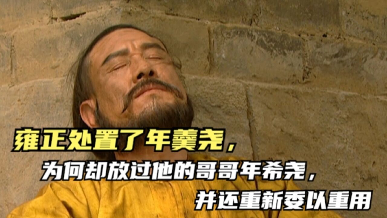 雍正处置了年羹尧,为何却放过他的哥哥年希尧,并还重新委以重用