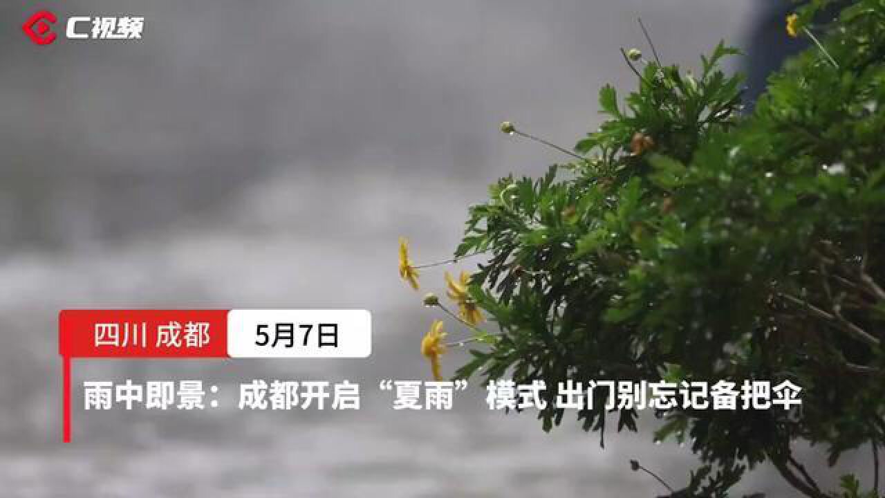 雨中即景:成都开启“夏雨”模式,出门别忘记备把伞,,四川在线