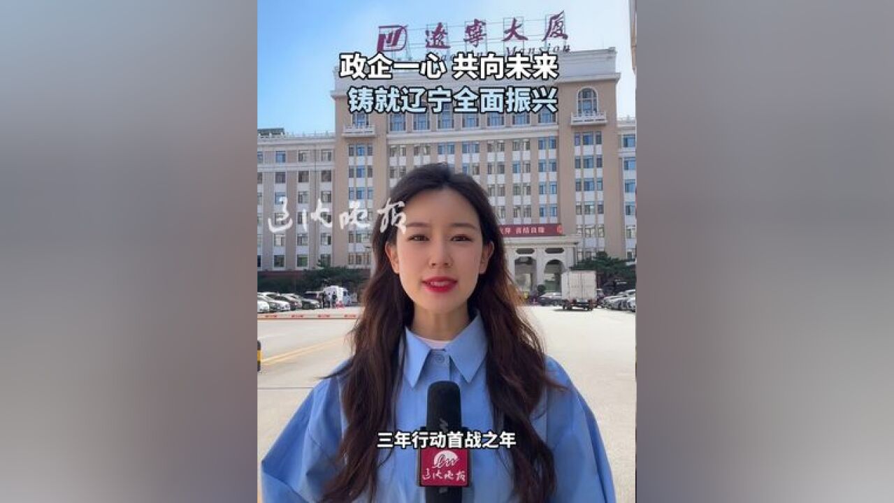 政企一心 共向未来 铸就辽宁全面振兴