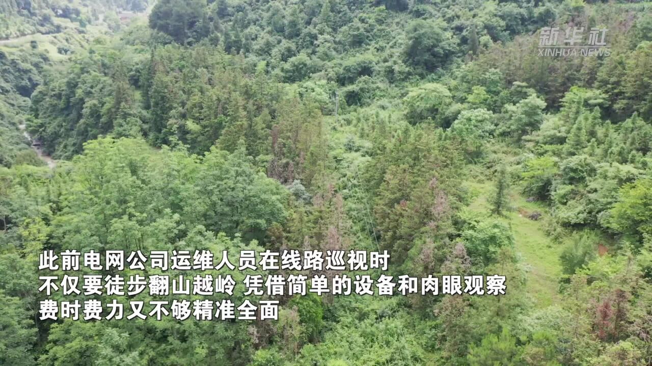 贵州余庆:无人机巡检迎峰度夏 提升电网运维质效