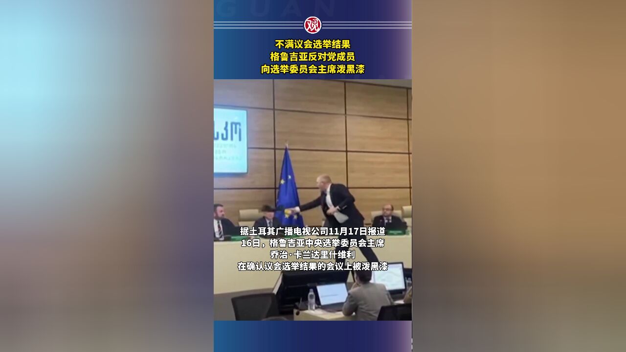 不满议会选举结果,格鲁吉亚反对党成员向选举委员会主席泼黑漆