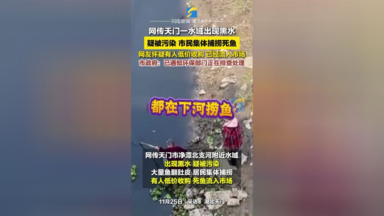 网传天门一水域出现黑水疑被污染 市民集体捕捞死鱼 市政府:已通知环保部门排查处理