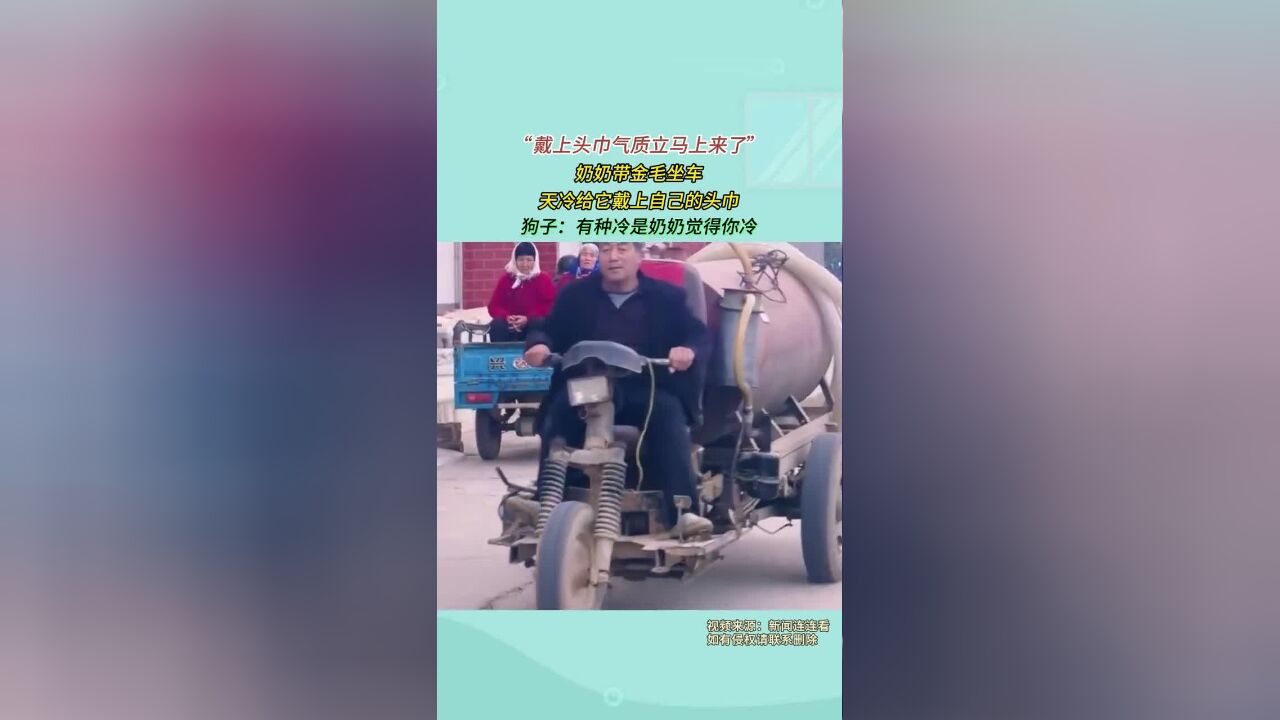 “戴上头巾气质立马上来了”,奶奶带金毛坐车,天冷给它戴上自己的头巾,狗子:有种冷是奶奶觉得你冷