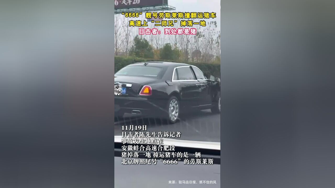 “6666”靓号劳斯莱斯撞翻运猪车,高速上“二师兄”掉落一地,目击者:到处都是猪