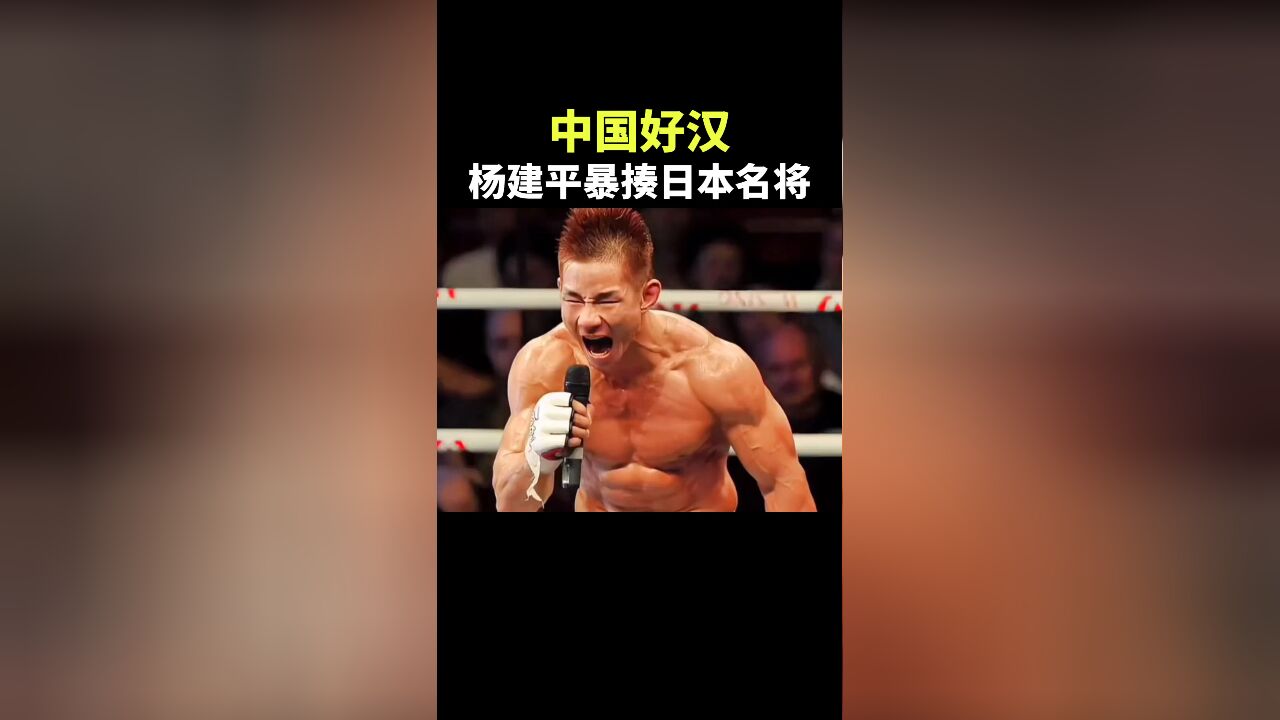 中国好汉,杨建平暴揍日本名将