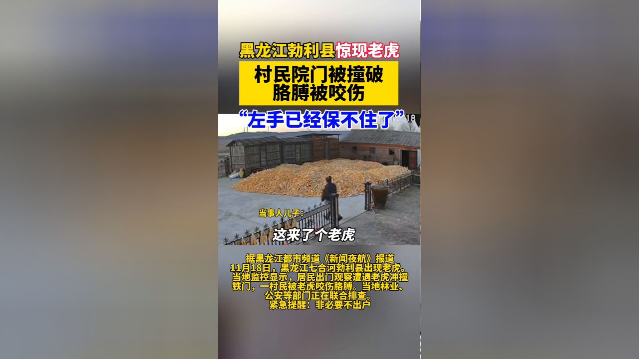 黑龙江勃利县出现老虎:一村民胳膊被咬伤,当地紧急排查中!