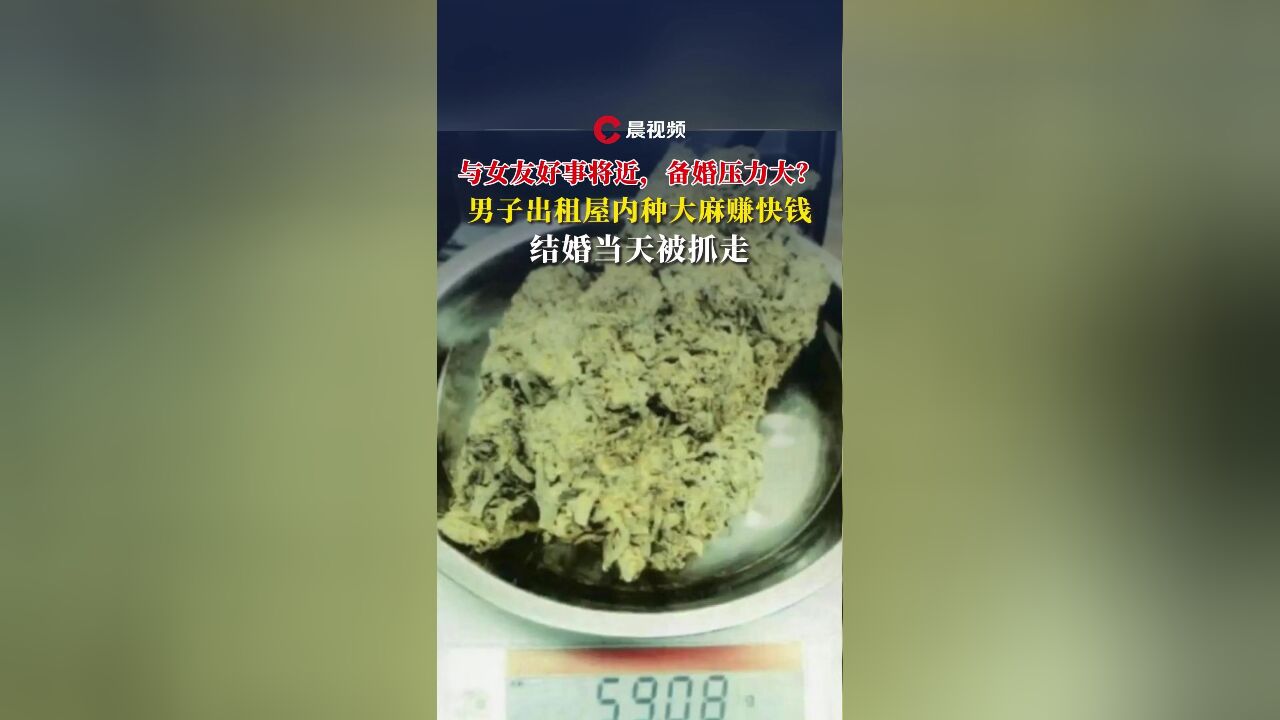 与女友好事将近,备婚压力大?男子出租屋内种大麻赚快钱,婚礼当天被抓走