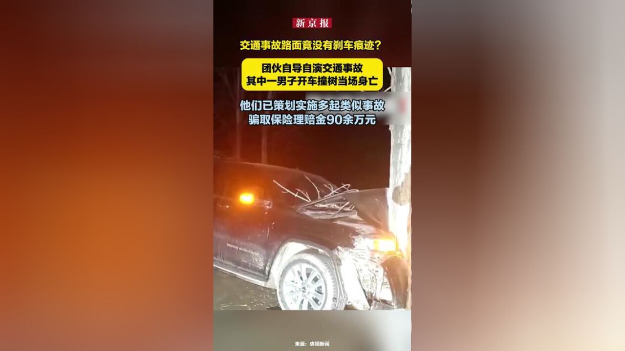 交通事故路面竟没有刹车痕迹?团伙自导自演交通事故,其中一男子开车撞树当场身亡,他们已策划实施多起类似事故