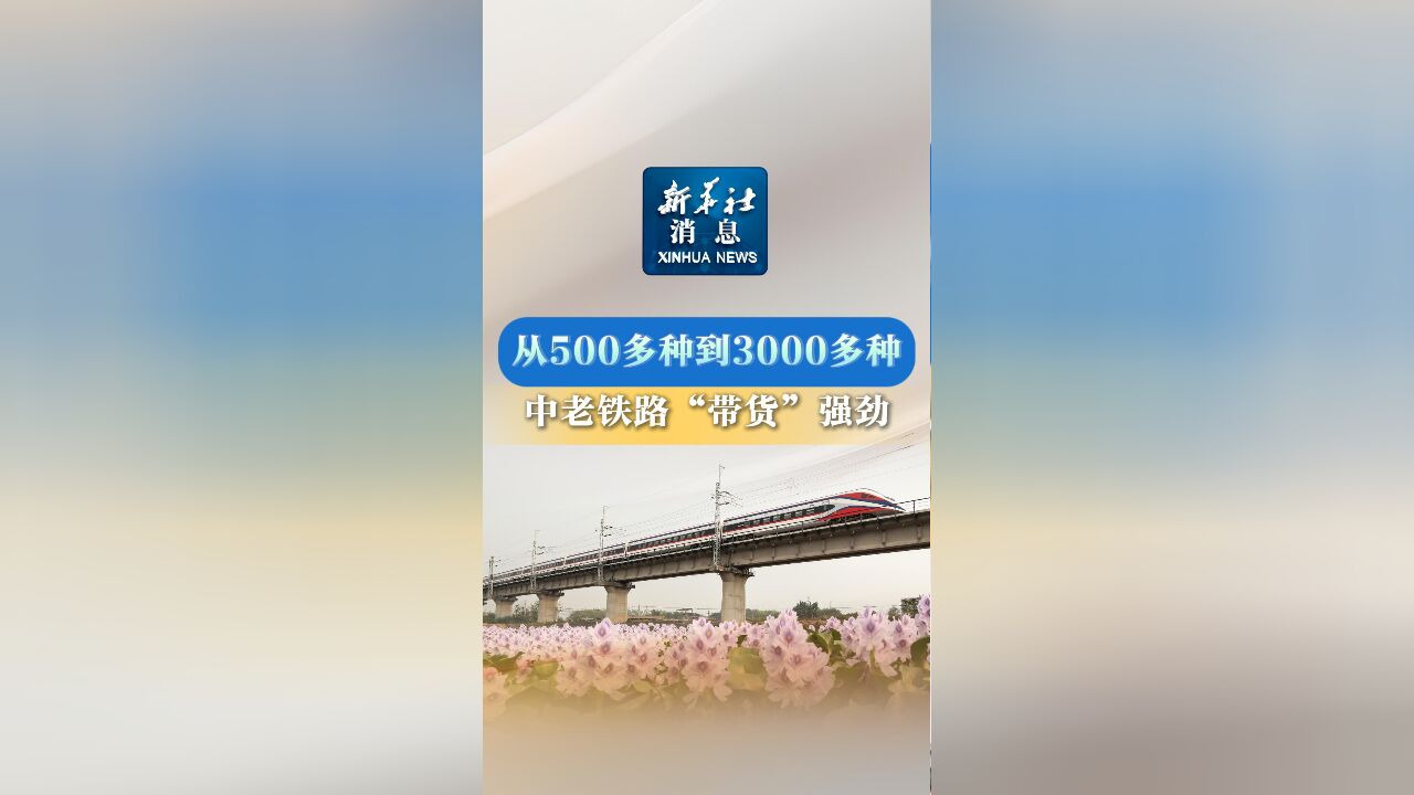 新华社消息|从500多种到3000多种 中老铁路“带货”强劲