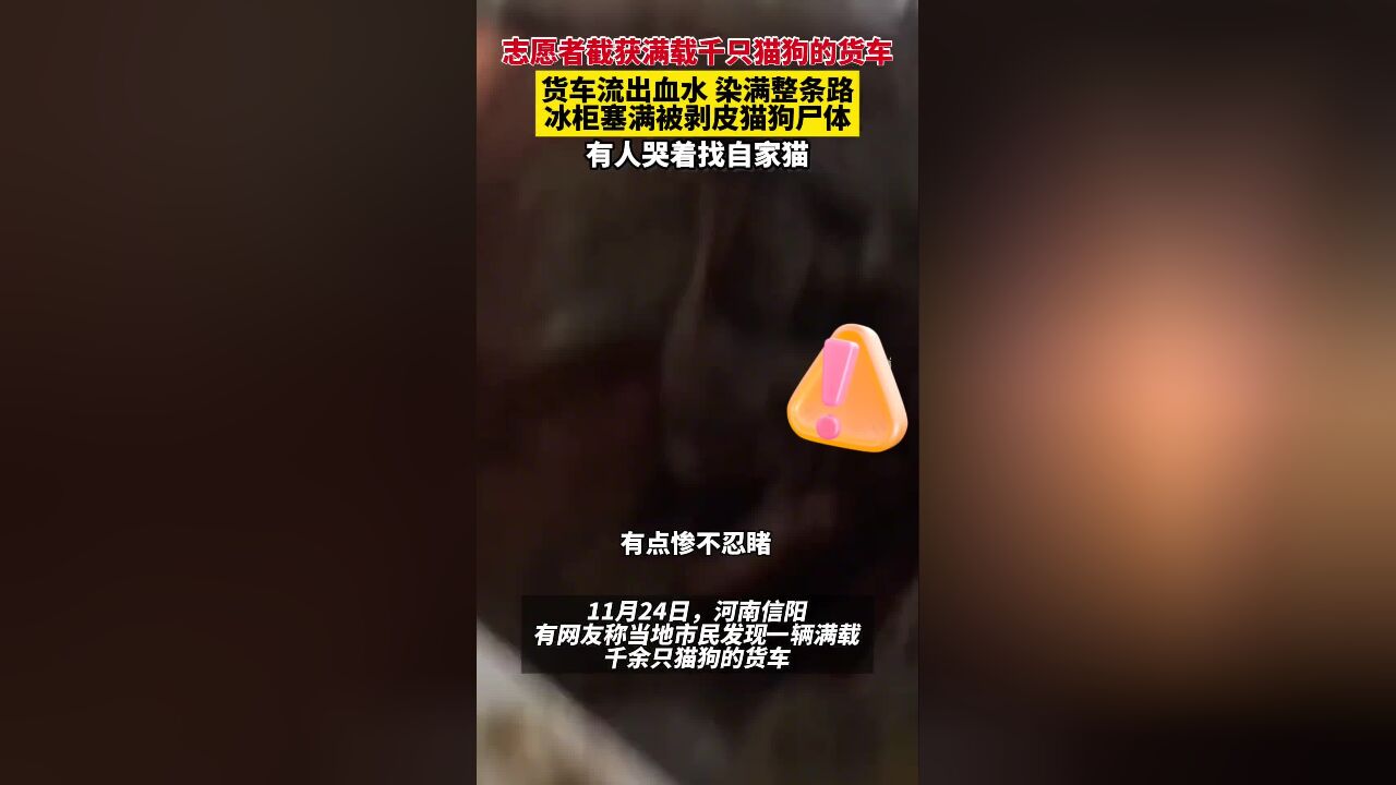 冰柜塞满剥皮的猫狗尸体!志愿者截获满载千只猫狗的大货车