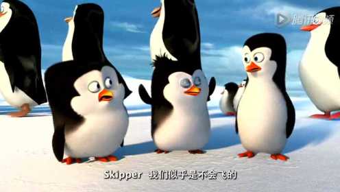 《马达加斯加的企鹅》超长片花：从南极洲出发