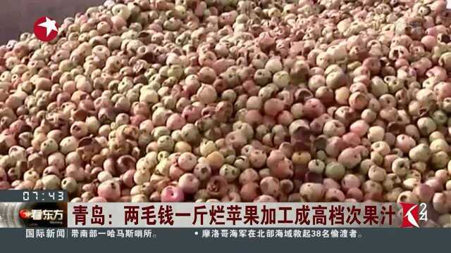 青岛:两毛钱一斤烂苹果加工成高档次果汁