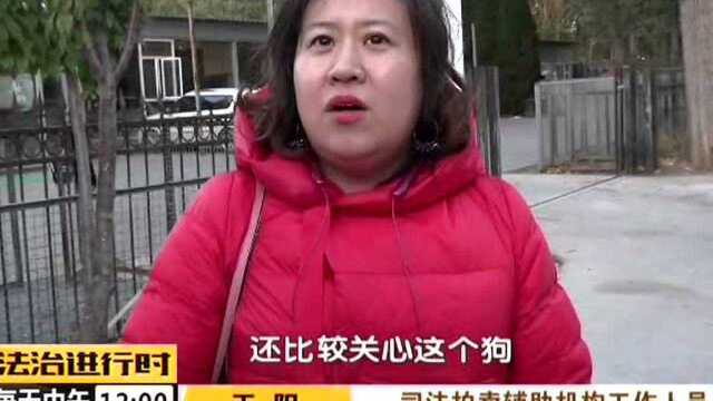 京法网拍 北京法院首次拍卖涉案宠物狗