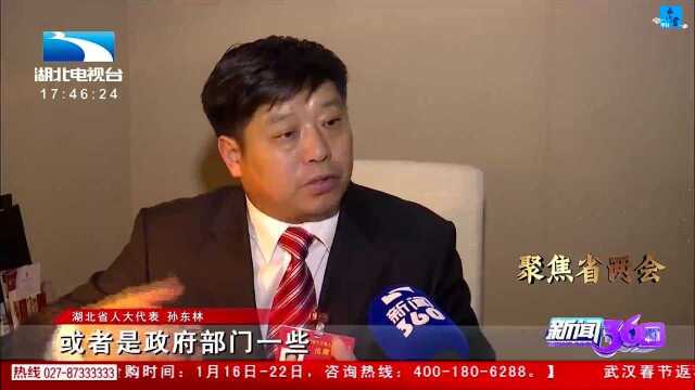 省人大代表孙东林:加大对返乡农民创业就业支持力度