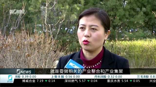 专家:国企改革进入落地实操阶段 国有资本投资公司试点推进