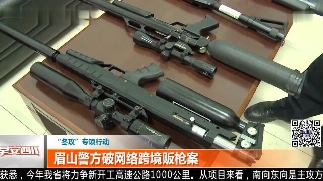 “冬攻”专项行动 眉山警方破网络跨境贩枪案