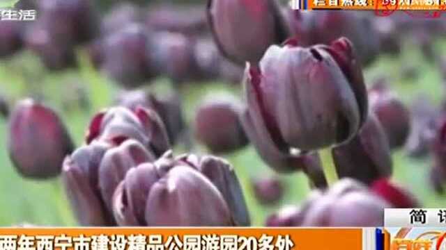 今明两年西宁市建设精品公园游园20多处