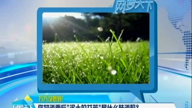 你知道雨后“泥土的芬芳”是什么味道吗?