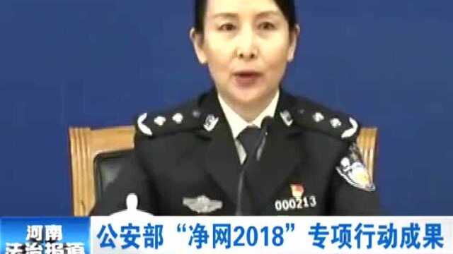 公安部“净网2018”专项行动成果