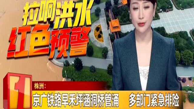 株洲:京广铁路早禾坪涵洞桥管涌 多部门紧急排险