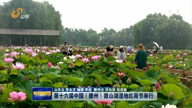 第十六届中国(滕州)微山湖湿地红荷节举行