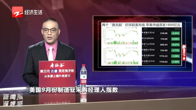 两个“黑天鹅”吓坏欧美市场