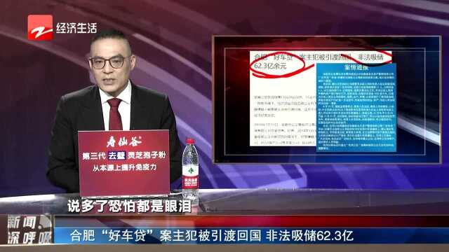 合肥“好车贷”案主犯被引渡回国 非法吸储62.3亿