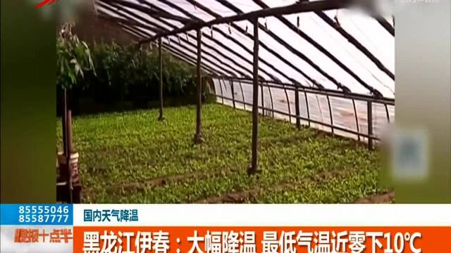 黑龙江伊春:大幅降温 最低气温近零下10℃