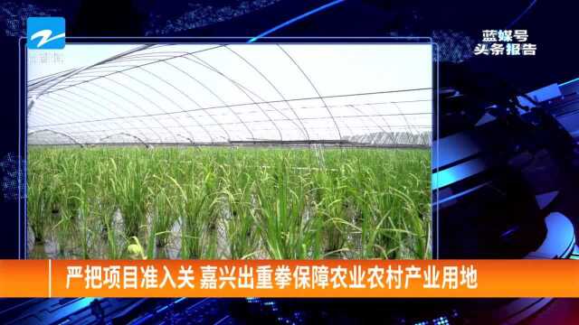 严把项目准入关 嘉兴重拳保障农业农村产业用地