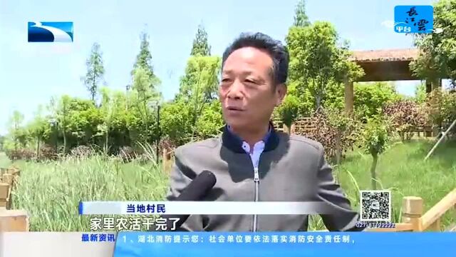 监利廖桥村:古遗址旁建湿地公园 休闲好去处