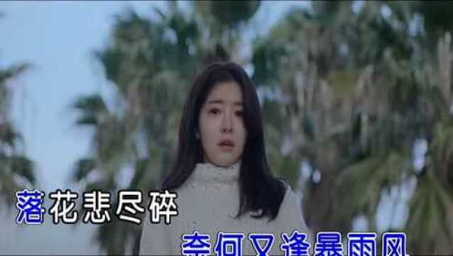 京华春梦