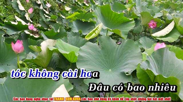 Lk Sao Ch氡 Thấy Hồi キ Tone Nam