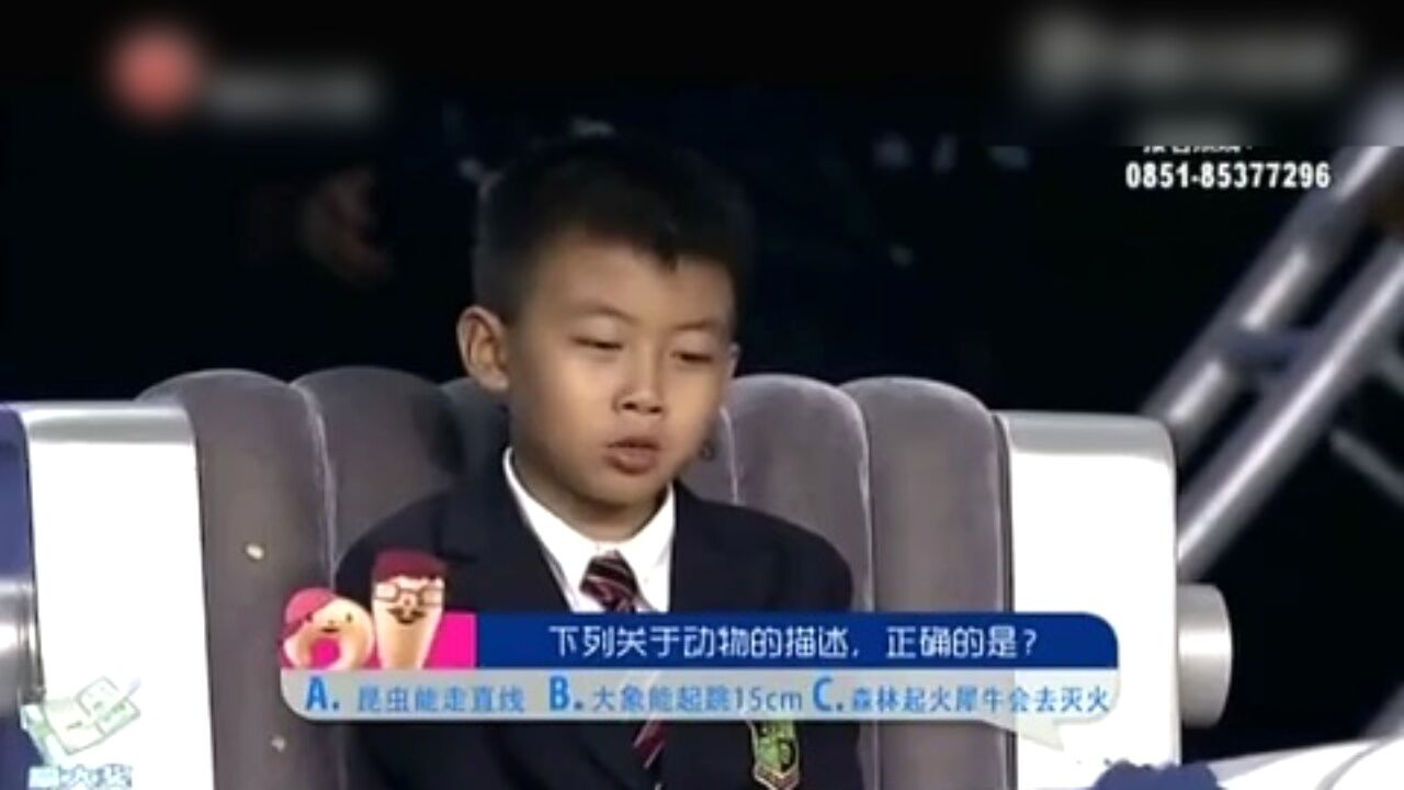 色即是空中的色本意是什么?全世界第一个穿高跟鞋的人是个男人!