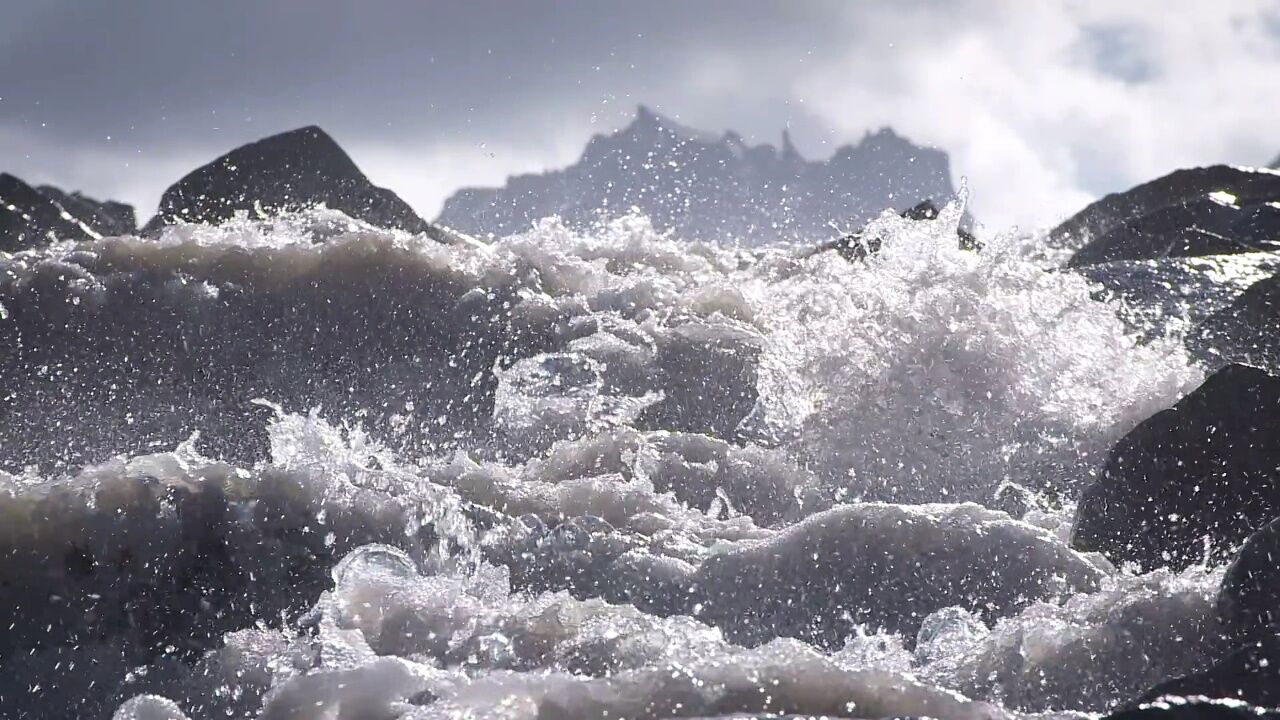 西藏不仅有雪山还有成群的牦牛,看完你心动了吗?