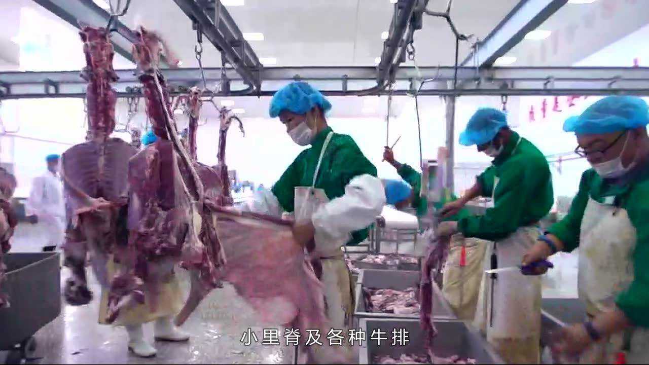 锡林郭勒乔宇苏尼特肉业宣传片