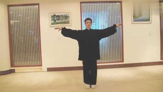 《八卦龙形掌》表演李志新