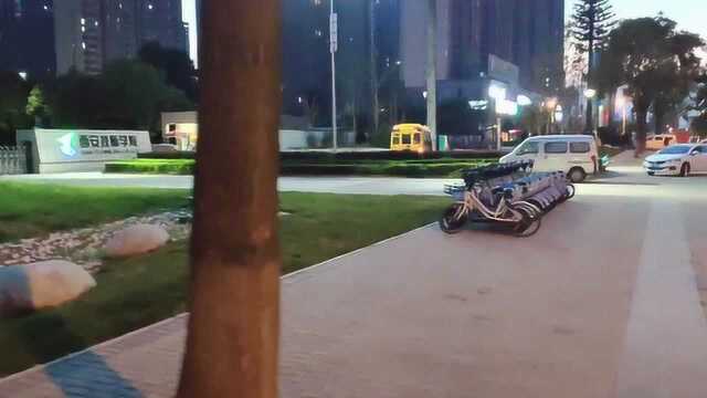 西电咸阳世纪大道实拍,奥林匹克花园夜景,西安技师学院开学了