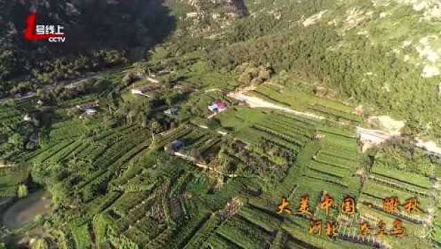 大美中国 瞰秋 河北秦皇岛