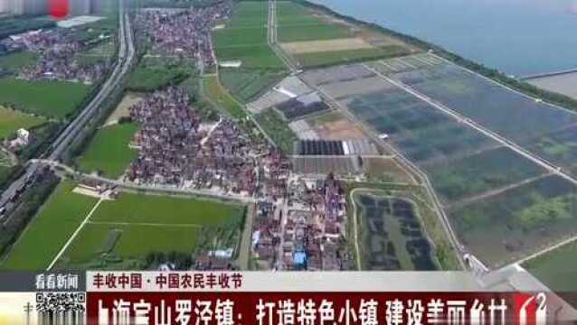 丰收中国ⷤ𘭥›𝥆œ民丰收节上海宝山罗泾镇打造特色小镇建设美丽乡