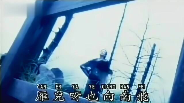 韩宝仪冬恋(90年代经典歌曲)