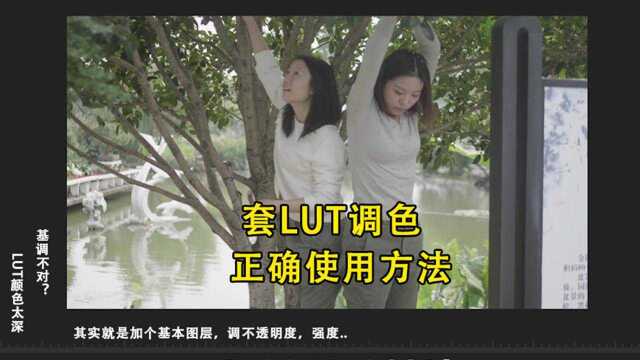 Pr调色:准确套Lut的步骤,原来我们一直都忽略了这个