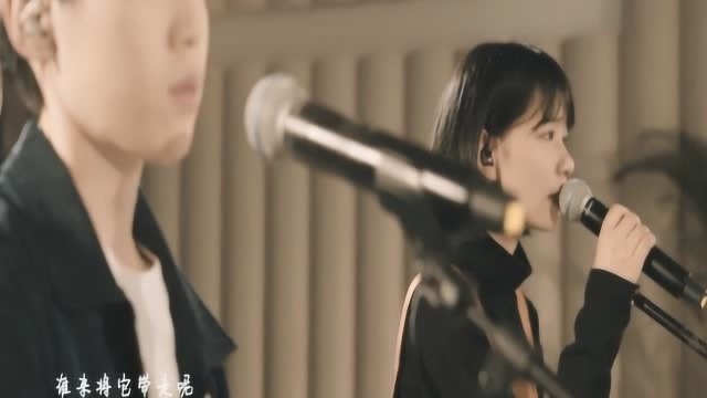 房东的猫挑战鹿先森金曲,轻柔演绎猫版《春风十里》