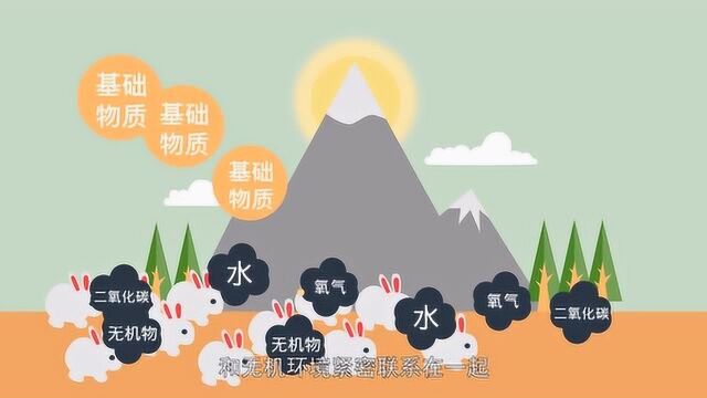 生态系统篇你知道什么是生态系统吗